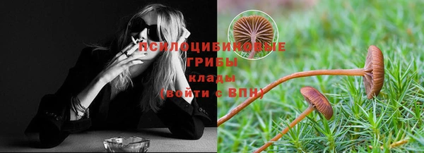 стафф Абинск