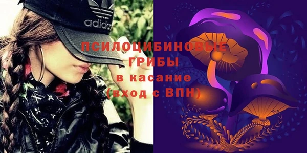 гидра Алексин